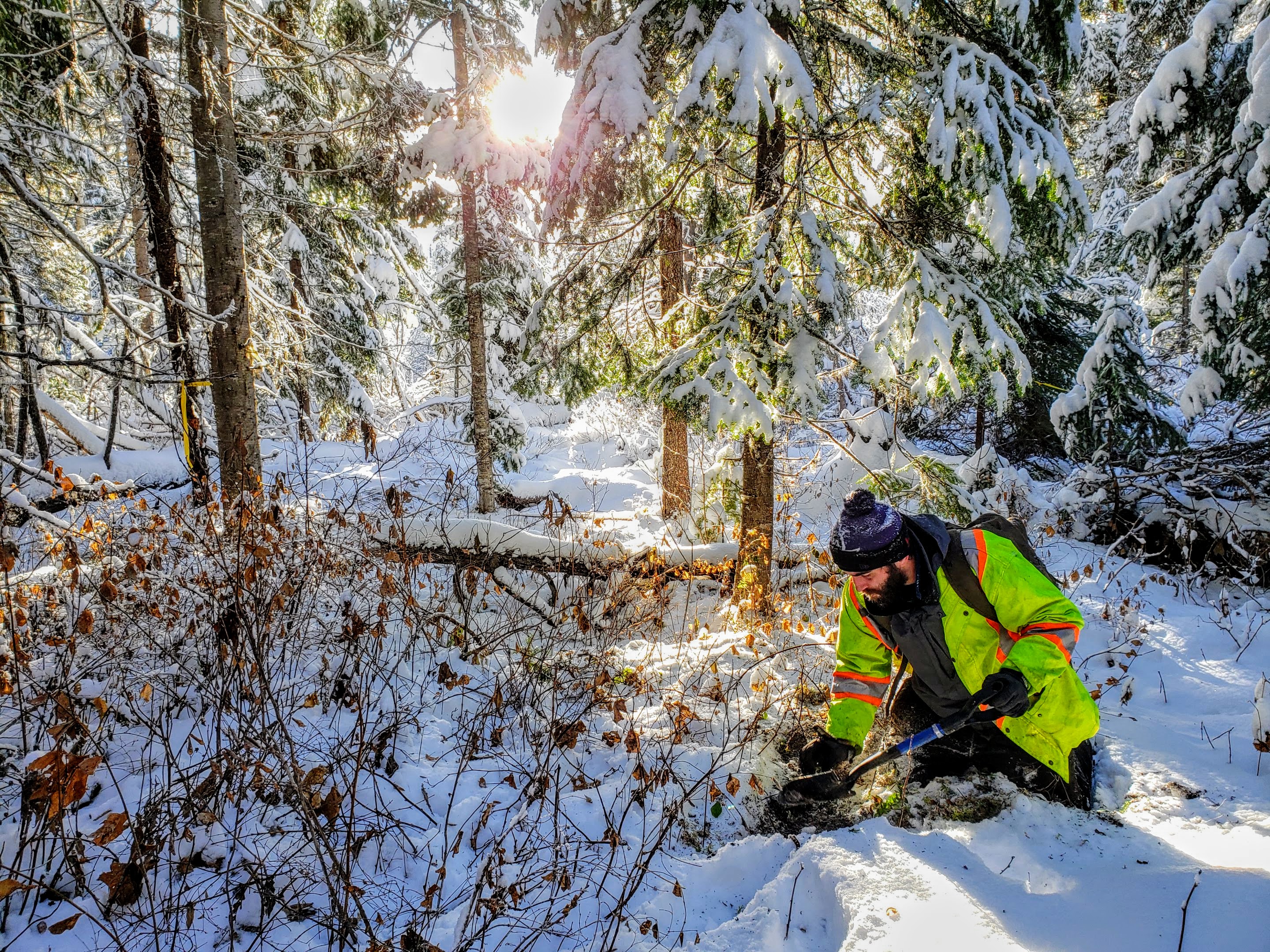 Passive seismic field reading collected in winter conditions