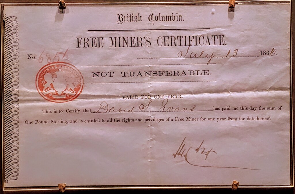 Free Miners Certificate