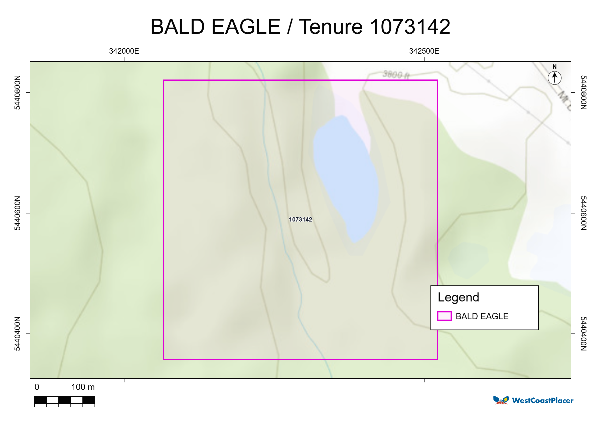 Bald Eagle